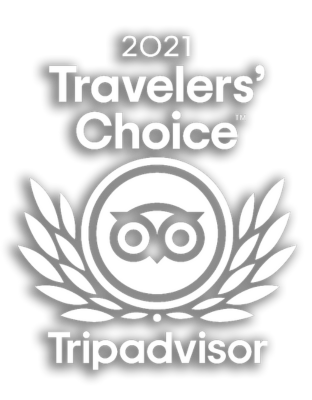 Teton Wild Travelers' Choice White 2021 Transparent