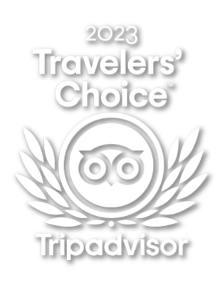 Teton Wild Travelers' Choice White 2023 Transparent