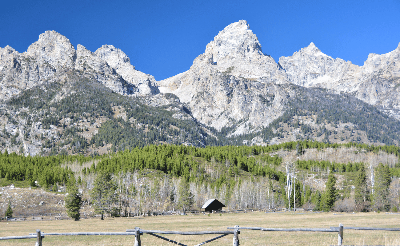 rocky view of the tetons