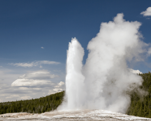 old faithful geyser erupting in summer
