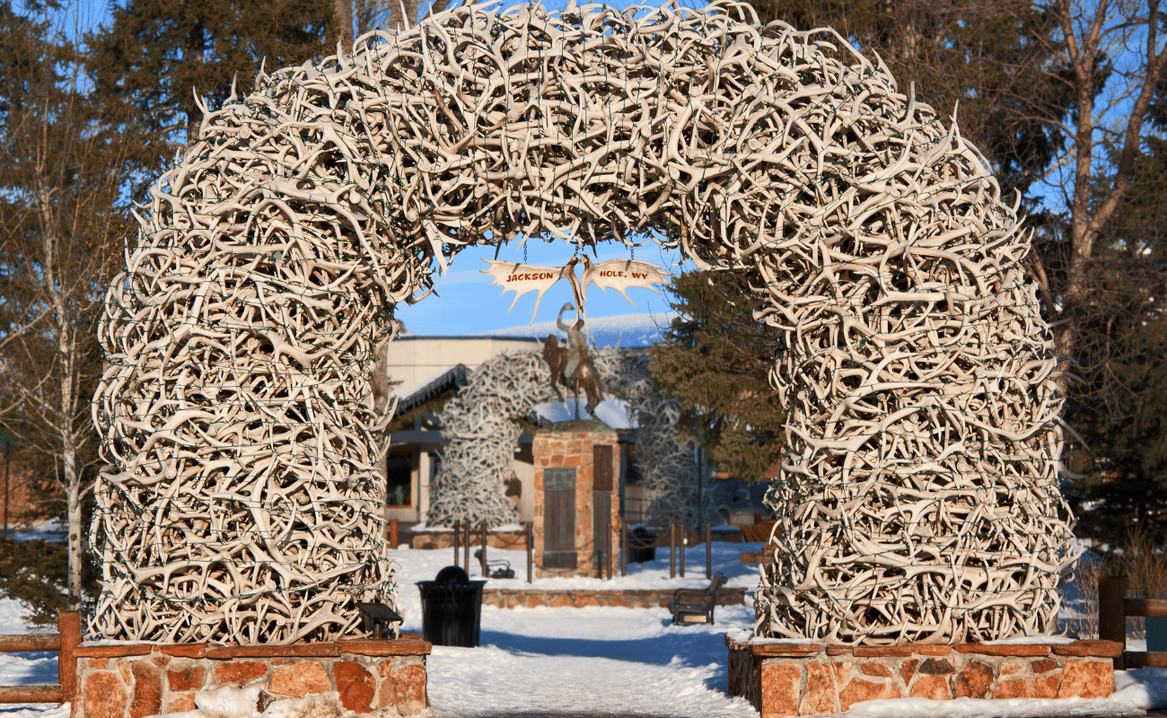 elk arches in jackson Hole