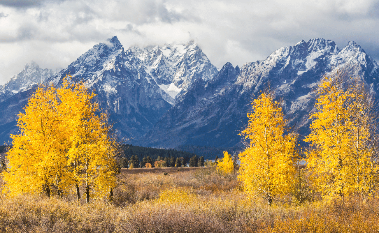majesty of the Tetons in fall